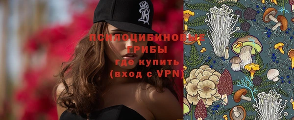ГАЛЛЮЦИНОГЕННЫЕ ГРИБЫ Беломорск
